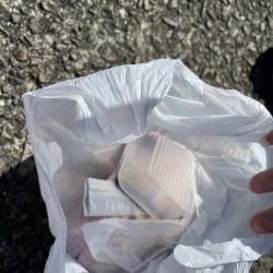 清掃活動：有り合わせタックルでイシガキダイ…