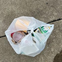 清掃活動：アジの群れ確認