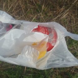 清掃活動：神無月のはじまりは青箭魚（さごし…