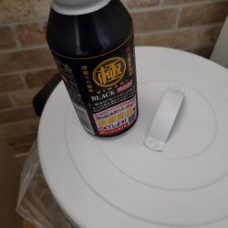 清掃活動：朝マズメのエギング