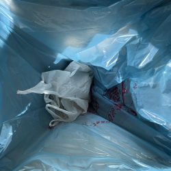 清掃活動：サビキ終わりかけ