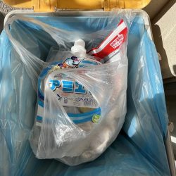 清掃活動：サビキが渋め