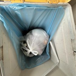 清掃活動：雨の前に