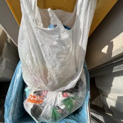 清掃活動：サビキが渋い時期