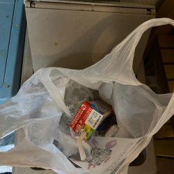 清掃活動：船で尺ハゲゲット！