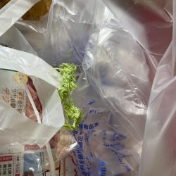 清掃活動：2023 佐渡ヶ島エギング 24…