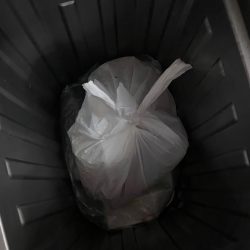 清掃活動：ラッキーダブルパンチ！！