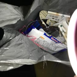 清掃活動：今日もアジング釣行