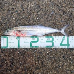 新しいロッドで