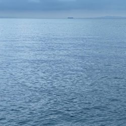 タチウオリベンジ