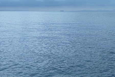 タチウオリベンジ