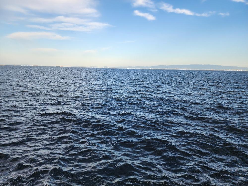 ここにもキタ━━━( ̄∀ ̄)━━━ッ!!!