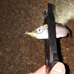 錆び落とし完了