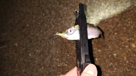 錆び落とし完了