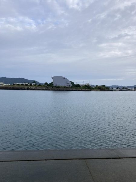 モーニング前フィッシング