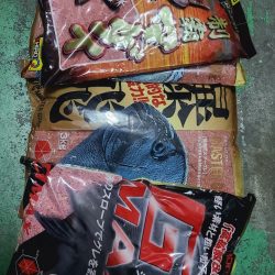 和歌山県串本出雲(谷口渡船)でグレ釣り