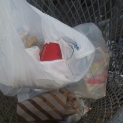 清掃活動：曇り空の下は若潮