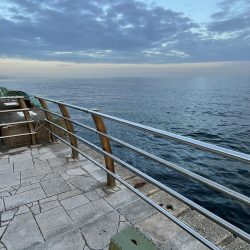 翼港でグレを狙った