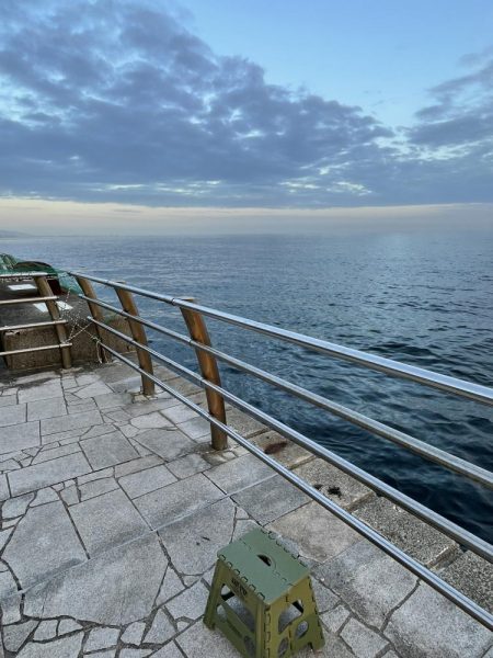 翼港でグレを狙った