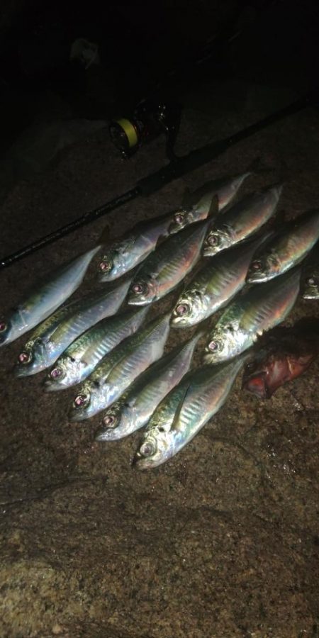 フロートゲーム～