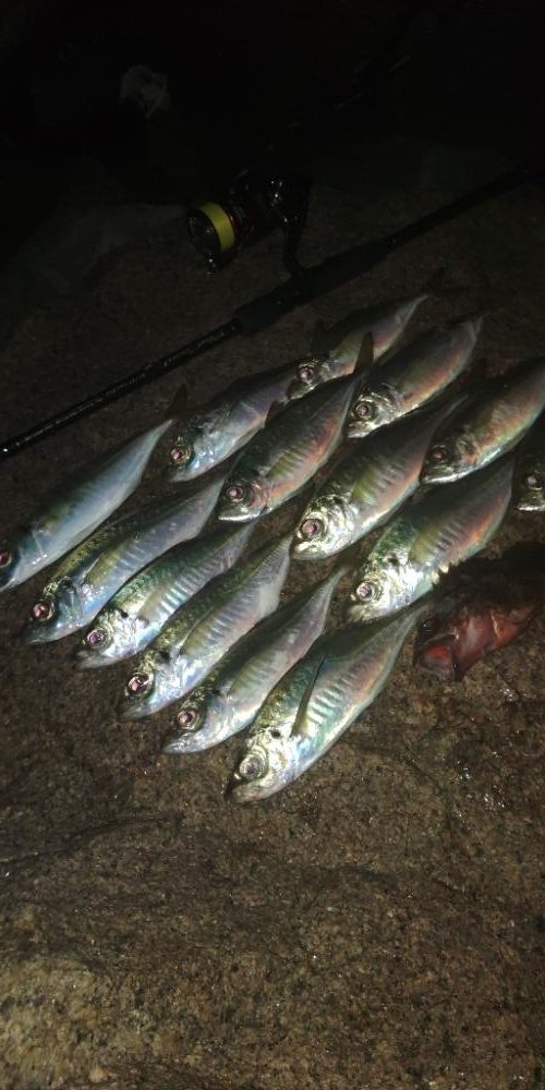 フロートゲーム~