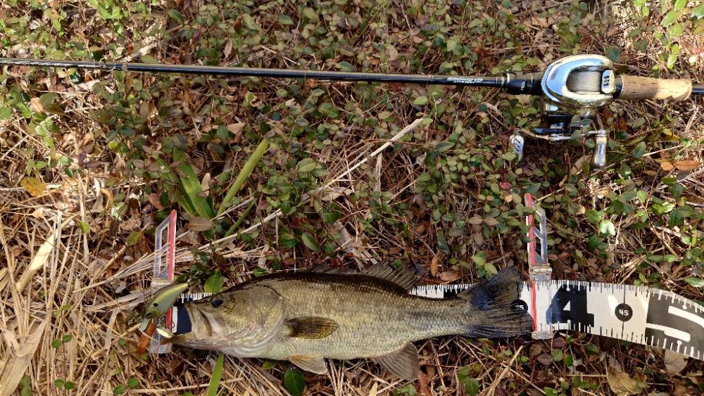 晩秋のクランキング