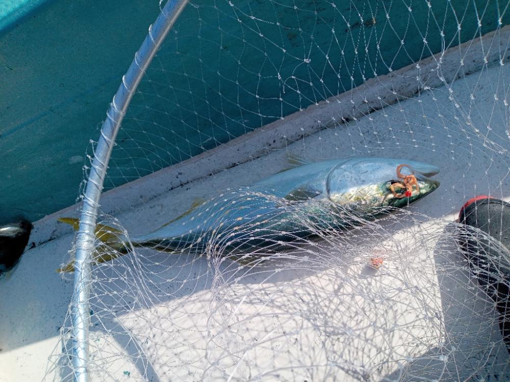 鯛ラバ・ジギング