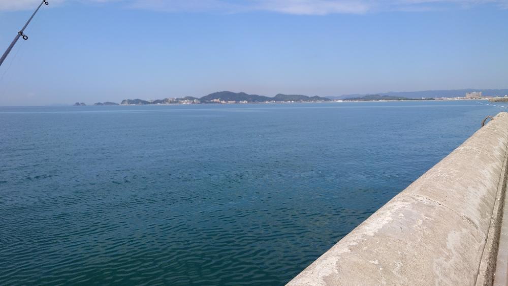 和歌山でのカワハギ釣り