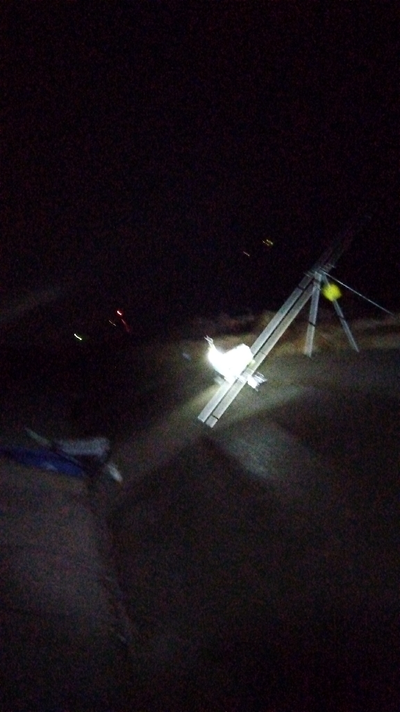 苅屋海岸のキス釣り