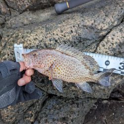 陸っぱり釣行記