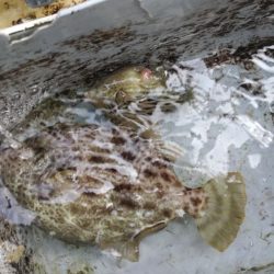 尺ハゲまであと一歩