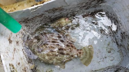 尺ハゲまであと一歩