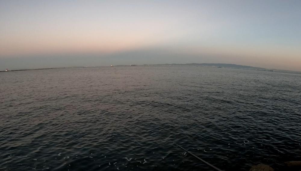 今日も…(꒪⌓꒪)