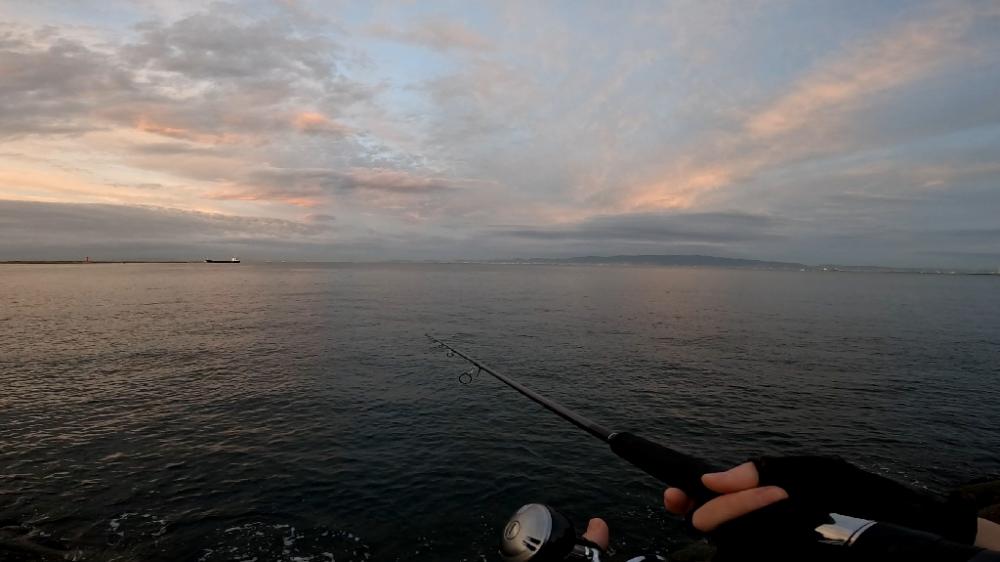 青物はどこへ？