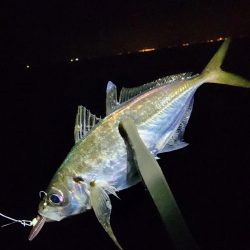 久々ライトゲーム