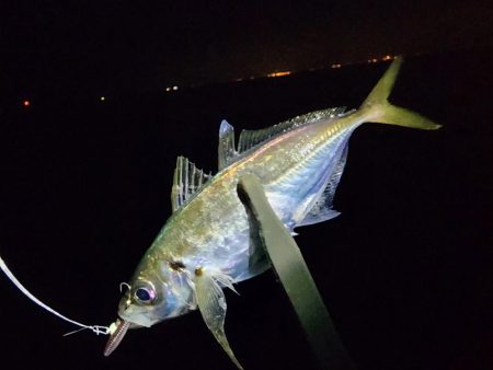 久々ライトゲーム