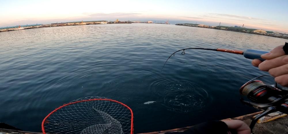 飲ませ4戦目🎣