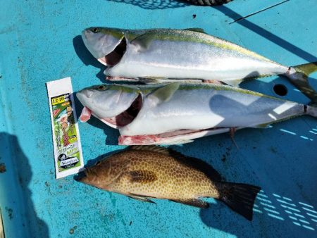 落とし込みアンダーベイトへ