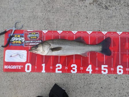 久しぶりのショアジギングでの釣果！！