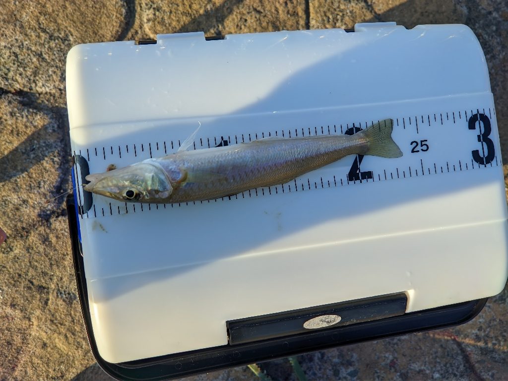 【悲報】かめや営業時間短縮