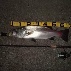 夕暮れのsalt water game