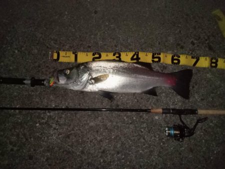 夕暮れのsalt water game