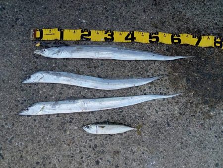 プチファミリーフィッシング　GAME