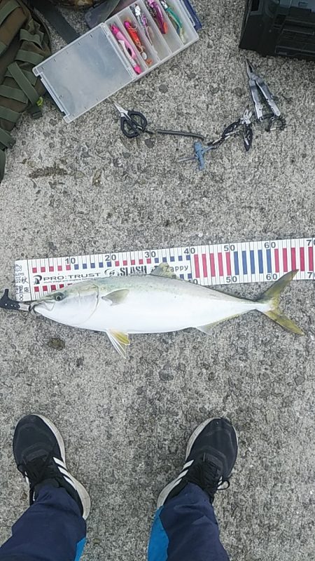 飲ませのつもりが