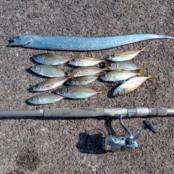 プチsalt water game