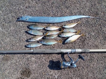 プチsalt water game