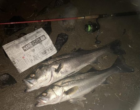 落ち鮎がらみやでー