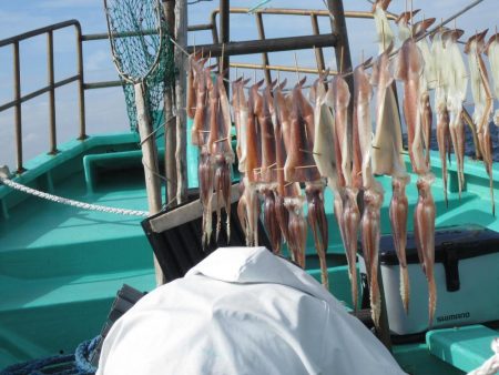 スルメイカ　釣れました(^_-)-☆