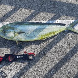 ショアジギングへ