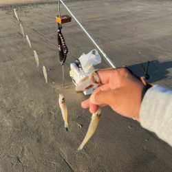 だいぶ冷え込んできましたがキスは元気でした